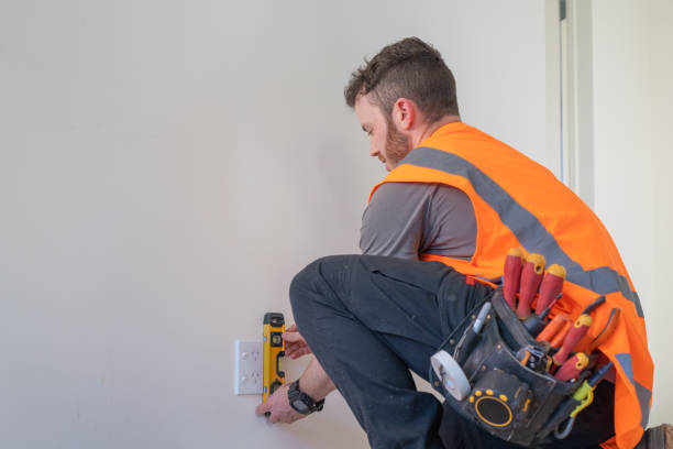 Best Electric Panel Repair  in Sun Prairie, WI